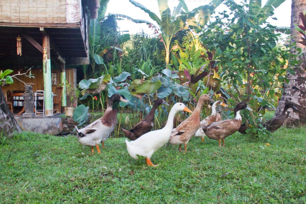 Jasri Dalem Surf Retreat Villa Luaran gambar