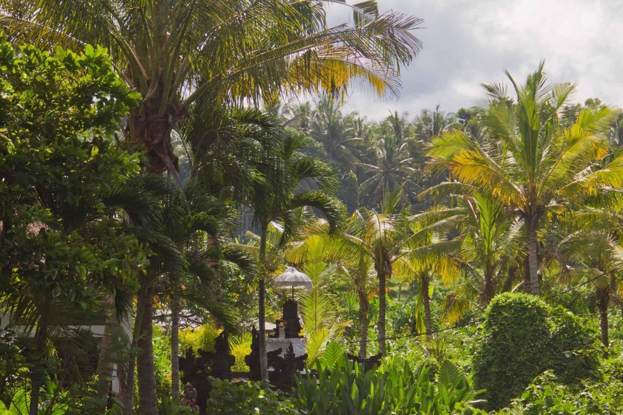 Jasri Dalem Surf Retreat Villa Luaran gambar